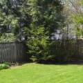 1594 Larch Street, Halifax, Nova Scotia B3H 3W8 Canada