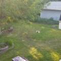 52 Pope Crescent, Lower Sackville, Nova Scotia B4C 2A5 Canada