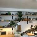 1822 Robie Street, Halifax, Nova Scotia B3H 3G3 Canada