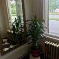 1822 Robie Street, Halifax, Nova Scotia B3H 3G3 Canada