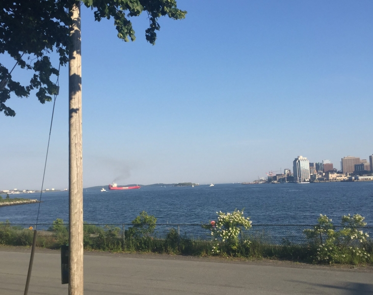 61 Fairbanks Street, Dartmouth, Nova Scotia B3A 1C2 Canada