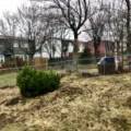25 Spar Crescent, Dartmouth, Nova Scotia B2W 4A1 Canada