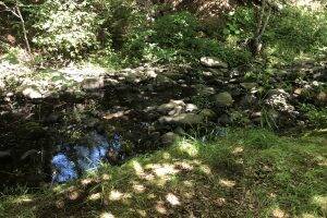 63 Castlewood Drive, Dartmouth, Nova Scotia B2V 2R3 Canada