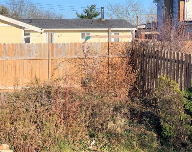 21 Shrewsbury Road, Dartmouth, Nova Scotia B2V 1R6 Canada