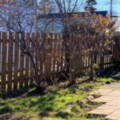 21 Shrewsbury Road, Dartmouth, Nova Scotia B2V 1R6 Canada