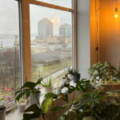 403/5221 Cornwallis Street, Halifax, Nova Scotia B3K 0B6 Canada