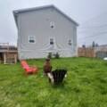 499 Cow Bay Road, Dartmouth, Nova Scotia B3G 1J6 Canada