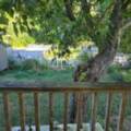 390 Spring Avenue, Dartmouth, Nova Scotia b2w 1z1 canada