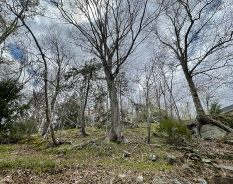 2 Tremont Street, Halifax, Nova Scotia B3M 1X7 Canada